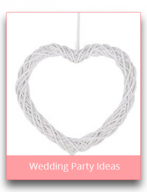 Wedding Party Ideas