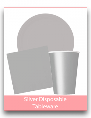 Silver Disposable Tableware