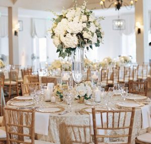 Ivory Collection