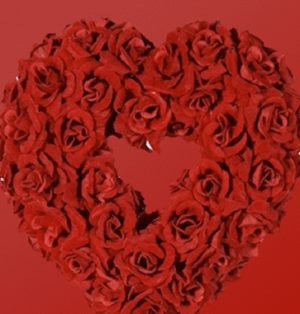 Red Collection