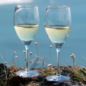 Wine Master by Dartington Crystal
