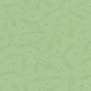 Green Disposable Tableware