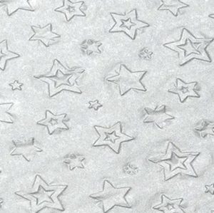 Silver Disposable Tableware