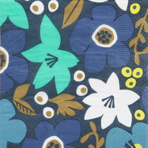 Blue Disposable Tableware