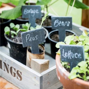 Tags: Set of 6 Classic Slate Greenhouse Tags with Chalk
