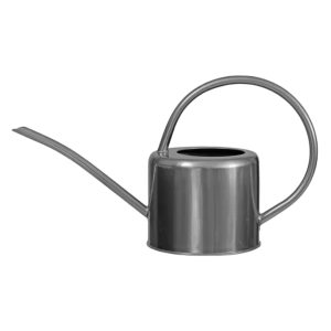Watering Can: 1.9 Litre Classic Silver Watering Can, Steel