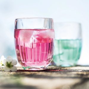 Low Ball Glass: 1 x 200ml La Rochere Coteau Tumbler, Glass